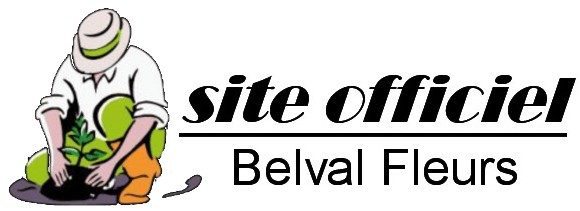 Belval Fleurs – Site Officiel – Fleuriste La Chapelle d'Armentières